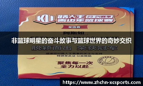 XC体育